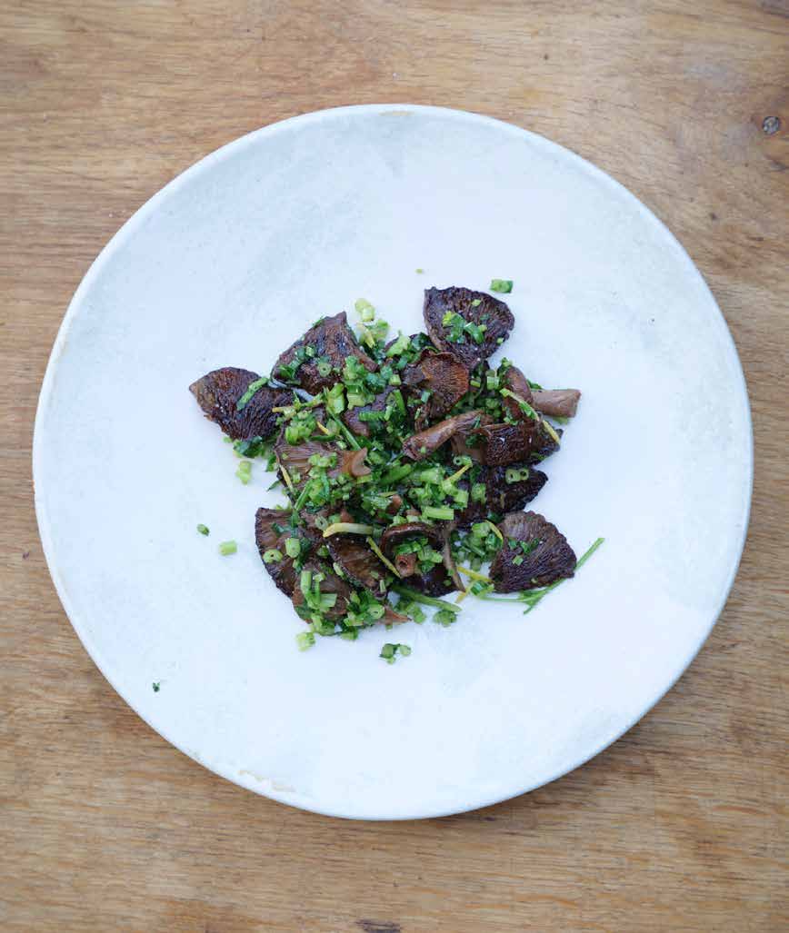 Ege-mælkehat på spansk