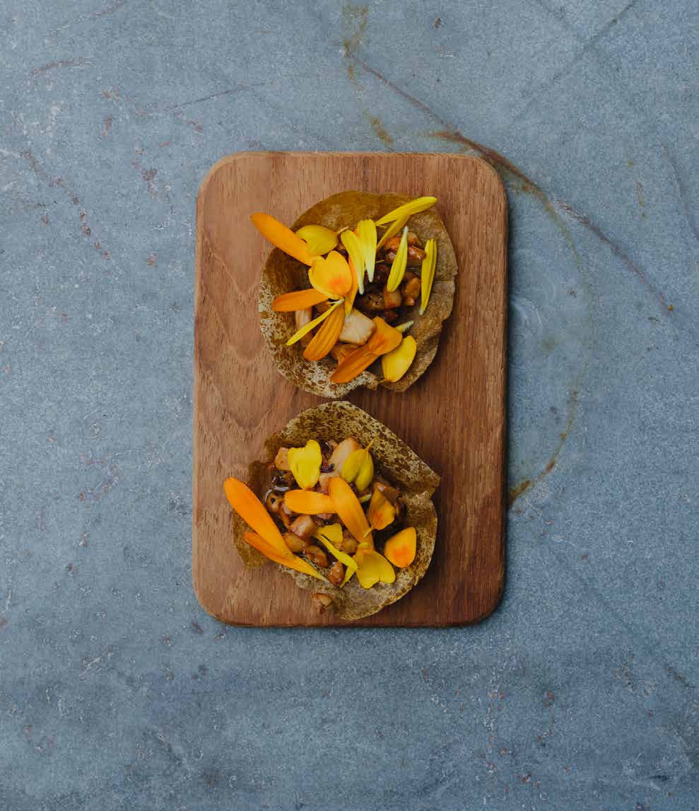 Fermenteret svampeskal