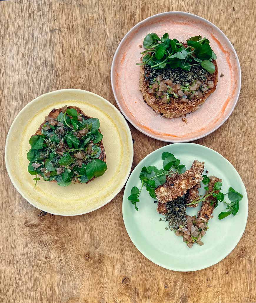 Paneret kæmpestøvbold